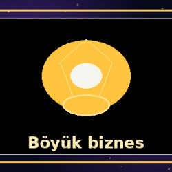 Böyük biznesim və yüksək gəlirim var